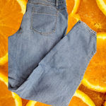 Coldwater Creek Coldwater Creek Denim Jeans Comfort Fit Everyday Casual Blue Size 16 Photo 0