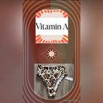 Vitamin A Leopard Print High Rise Bikini Bottom Size XS (4) Photo 10