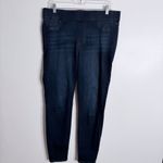 Liverpool Jeans Company Stitch Fix Liverpool Sienna The Ankle Skinny Pull On Dynasty Dark Wash 12/31 Photo 1