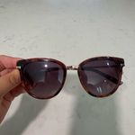 Ted Baker Elegant Havana Brown Sunglasses Photo 13