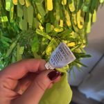 Neon Lime Green Party Dress Size 2 Photo 10