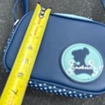 Disney  Cinderella Crossbody Bag Dani by Danielle Nicole Purse‎ Photo 2