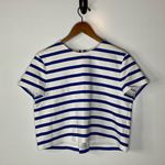 ZARA  Blue & White Striped Exposed Zipper Cropped Top Size Large Photo 0