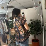 Free People  One Floral Short Sleeve Top Blue Size Medium Photo 5