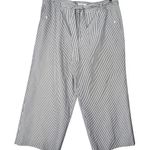 Talbots Striped Wide Leg Cropped Pants Belt Tie Silk Linen Blend White Blue Sz16 Photo 0