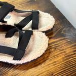 Everlane Black The ReNew Teddy Sport Sandal Size 6 Photo 2