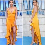 Lovers + Friends  Aahmani Gown in Sunset Photo 10