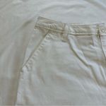 Vans  Ground Work Shorts Photo 5