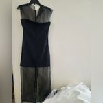 ZARA  NWT black mesh sheer organza 2 in one style underlay midi cocktail dress Photo 9