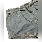 Anthropologie Pilcro x Denim Paperbag Shorts Photo 2