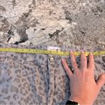 Sundry  Anthropologie Gray Leopard‎ Camo Joggers Size 29 Photo 8