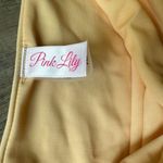 Pink Lily Brand New  Extra Large Two-Piece Bathing Suit Photo 1