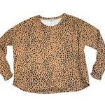Crown & Ivy NWOT Women's 3/4 Sleeve Round Hem T-Shirt | Tan Animal Print | XL Photo 3