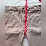 Madewell The Slim Straight Utility Pants in Capri Pink 27 Photo 11