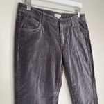 Garnet Hill Women’s Straight Leg Velvet Pants in Grey Size 2 Photo 2