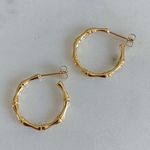 Bamboo Joint Hearings Gold Hoops Earrings Photo 2