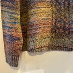 Charlie B Chunky Knit Multi Color Cable Knit Sweater TG XL Brown Size undefined Photo 6