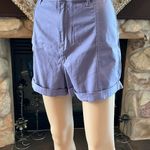 Urban Outfitters BDG Lavender/ Purple Shorts 32 Photo 0