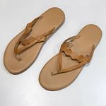 NEW Ancient Greek Sandals 42 Hydor Leather Flip Flops Thong Slides Dustbag 12 Size undefined Photo 13