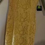 Liz Claiborne Woman’s Yellow sleeveless Crocheted laced Dress size 16 Photo 0