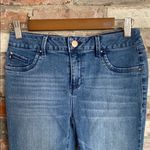 D. Jeans  Blue Capri Jean Pants Size 4 Photo 1