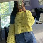 Lizard Thicket Sweater Photo 0