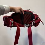 Osprey Savu 5 Belt Bag in Deep Red Photo 5