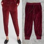 Gap Women’s Velour Jogger Pants Pull On Mid Rise Loungewear in Burgundy S Photo 1