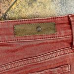 Treasure & Bond  Distressed Cutoff Rust Shorts 31 Photo 8