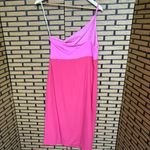 Petal and Pup  Xiomar One-Shoulder Pink‎ Midi Dress Size 10 Photo 2