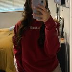 David Dobrik Discontinued  Clickbait Hoodie Photo 1