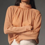 Anthropologie NEW WOMENS  Sheer Blouse in Terracotta Medium Photo 0