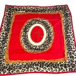 Christian Dior Scarf Photo 0