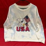 Peanuts Snoopy USA Sweater size L Blue Size L Photo 0