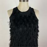 Anthropologie  Roxie Textured Feather Fringe Dress Photo 3