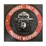 Mighty fine SMOKEY THE BEAR "Only You Prevent Wildfires" Dark Gray T-Shirt Top ~ Women's XS Photo 5