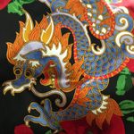 Dolce & Gabbana Vintage  dragon print  collector dress Photo 4