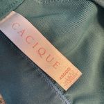 Cacique  lightly lined no wire bra 48DDD Seamless Green Bra Photo 2