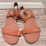 Steve Madden Dina Ankle Strap Sandals Size 8.5M Photo 0