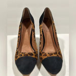 Corso Como NEW!CorsocComo-Leopard cow hair, suede heel pumps size 8 Photo 3