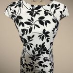 Preston & York Dress Ivory White Black Floral Leaves sz 14 Photo 1
