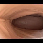 Furla  riding boots 6.5 Photo 15