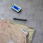 Say What? Say What Top Womens M Pink Lace Bell Sleeve Sheer Romantic Feminine Elegant NEW Photo 9