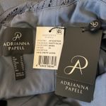 Adrianna Papell Lace and Crepe Sleeveless A-Line Evening Gown Blue Size 10 Dress Photo 7