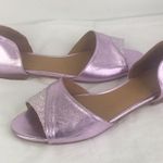 BHLDN New Emma Go pink Metallic Glitter leather Dorsey Flats 38/8 Photo 4