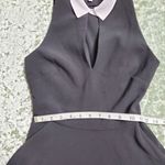 Likely  Fit & Flare White Collar Black Dress Photo 6