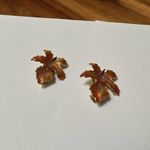 Beautiful Fall Autumn Orange Leaves Clip Photo 1