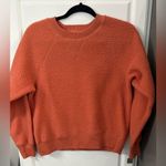 Everlane  Renew Sherpa Sweatshirt Photo 0