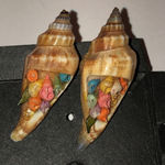 Vintage Conch Shell Tiny Colorful Shells Screw Back Clip On Earrings Photo 5