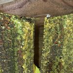 Anthropologie  Chartreuse Lisabette Sequin Wrap Mini Dress, NWT Photo 7